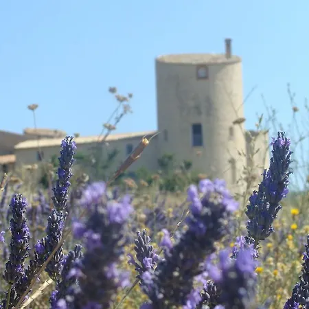 Chateau De La Gabelle Bed & Breakfast 3*
