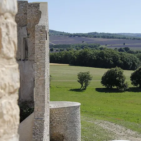 Château De La Gabelle Ferrassieres
